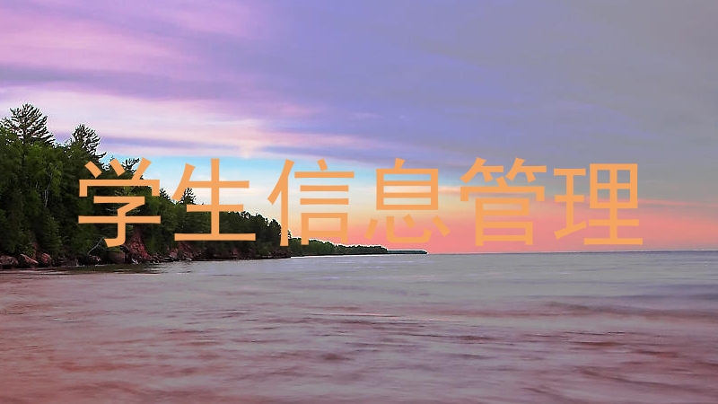 学生信息管理