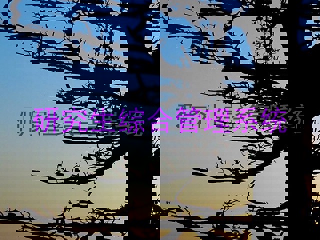 研究生综合管理系统