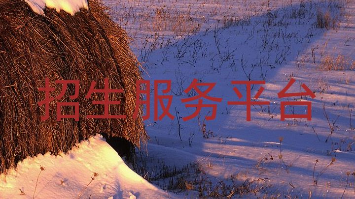 招生服务平台