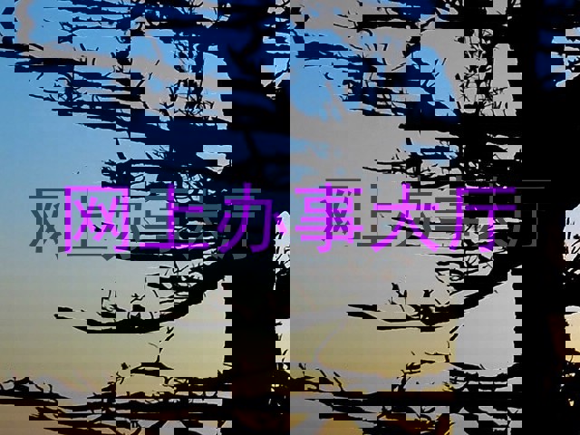 网上办事大厅