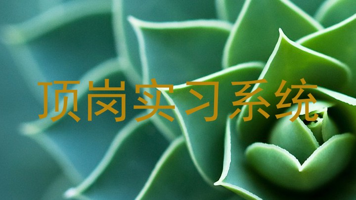 顶岗实习系统