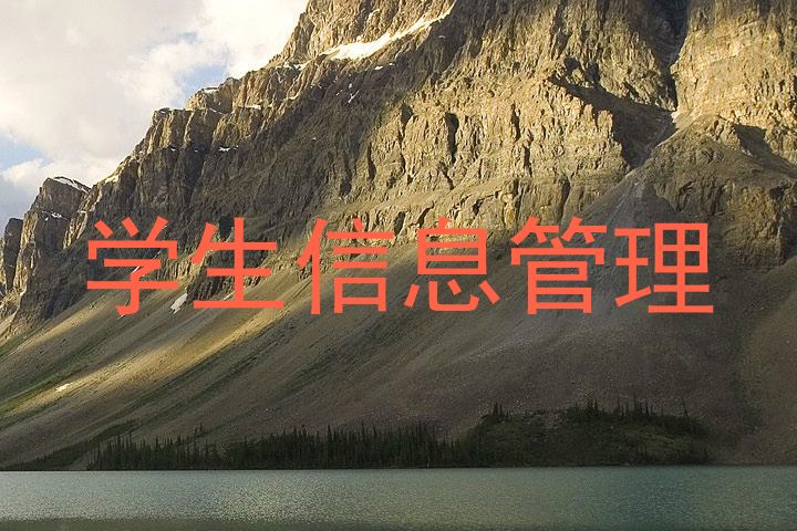学生信息管理