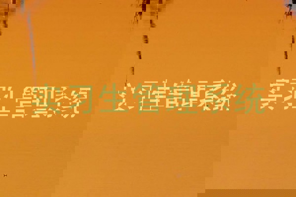 实习生管理系统