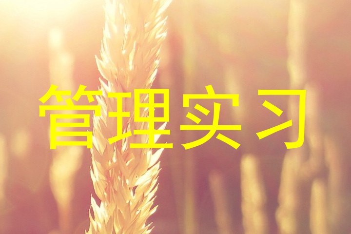 管理实习