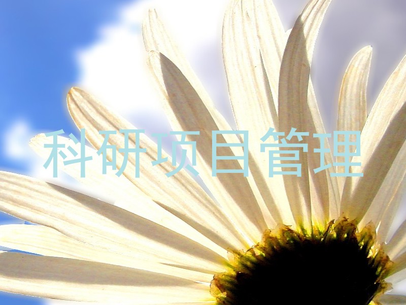 科研项目管理