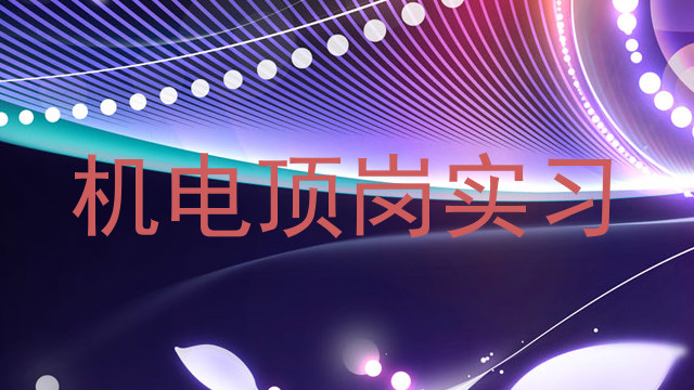 机电顶岗实习