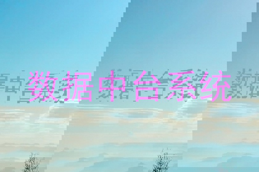 数据中台系统