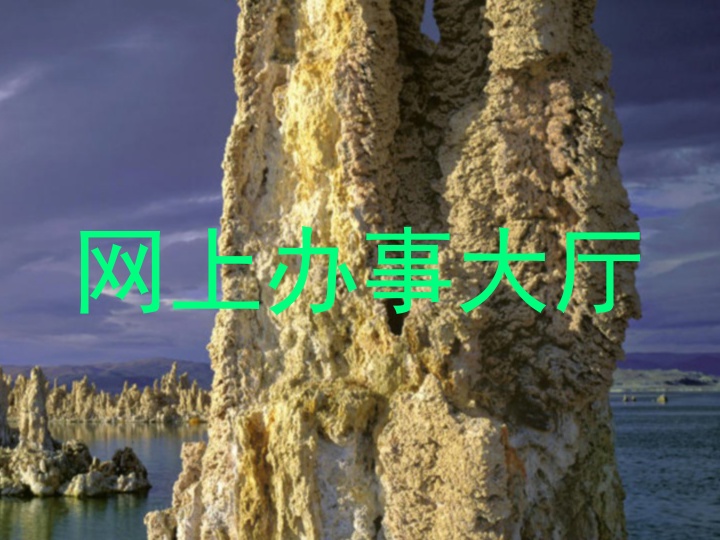 网上办事大厅