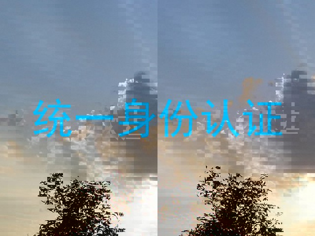 统一身份认证