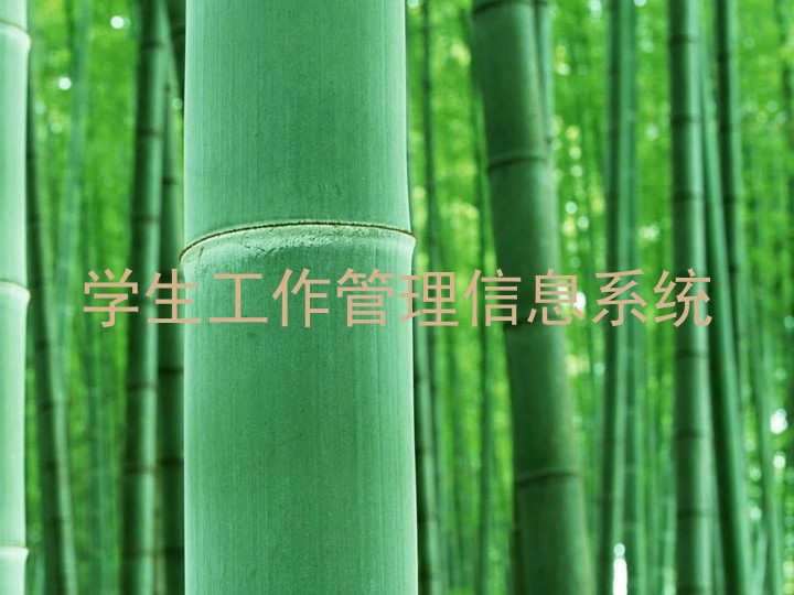 学生工作管理信息系统
