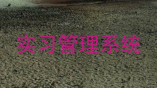 实习管理系统
