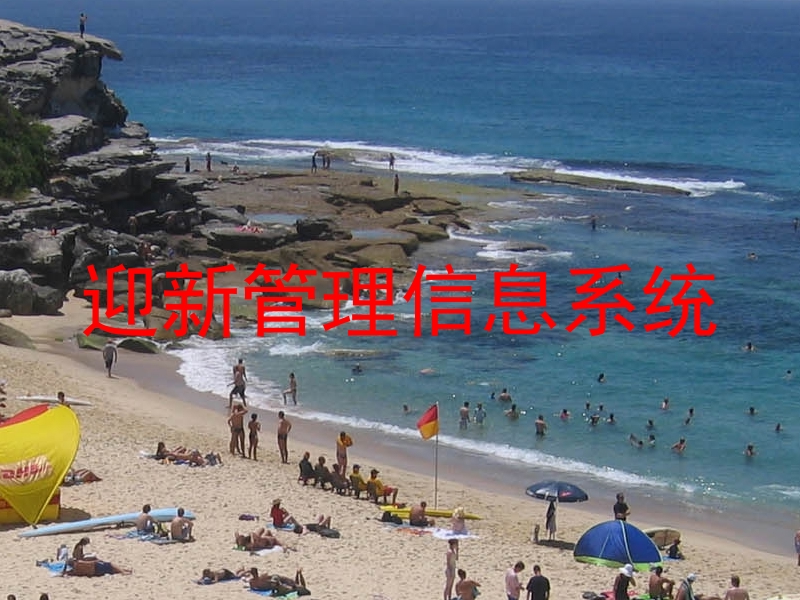 迎新管理信息系统