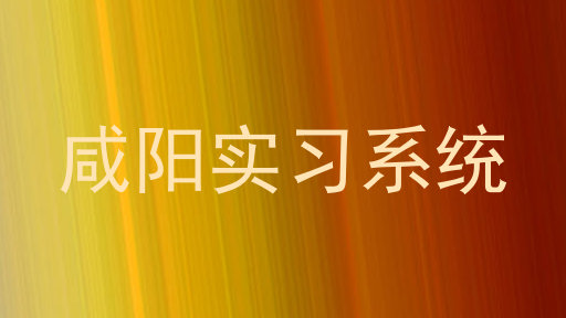 咸阳实习系统