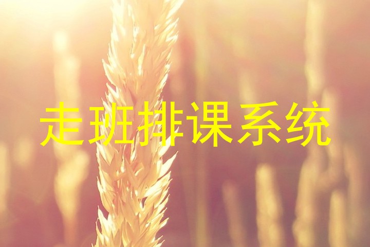 走班排课系统