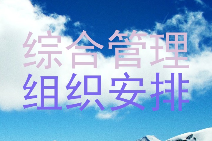 综合管理|组织安排