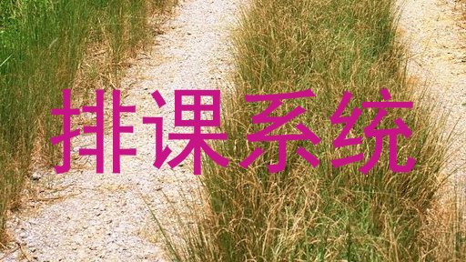 排课系统