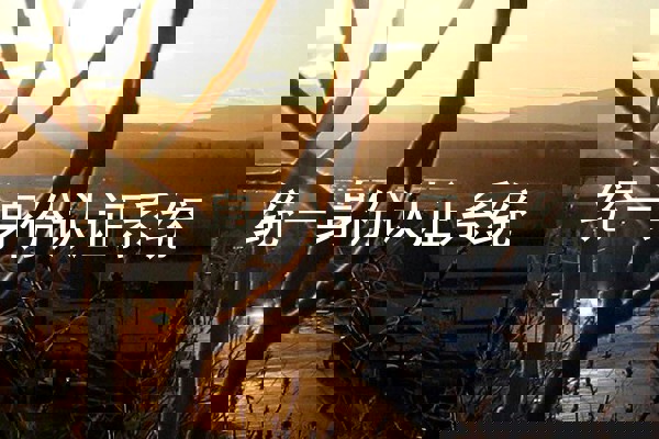 统一身份认证系统