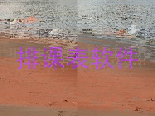 排课表软件