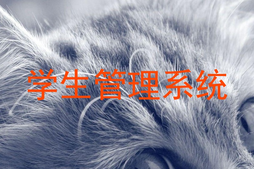 学生管理系统