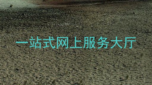 一站式网上服务大厅