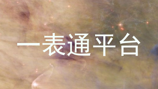 一表通平台
