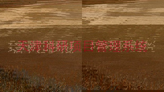 天津科研项目管理系统