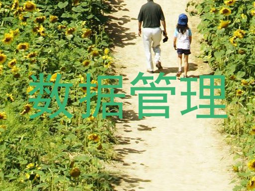 数据管理