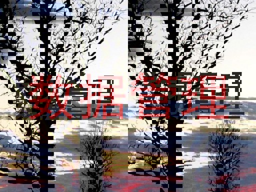 数据管理
