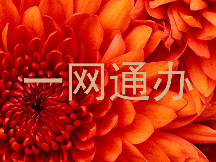 一网通办