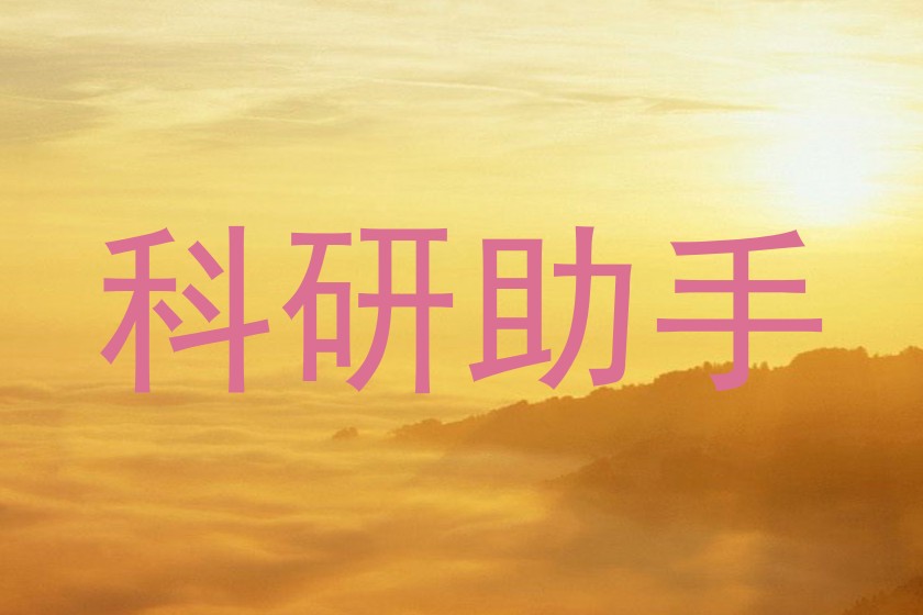科研助手