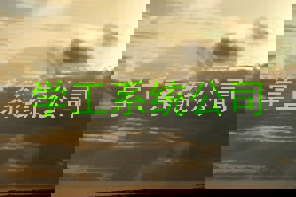 学工系统公司
