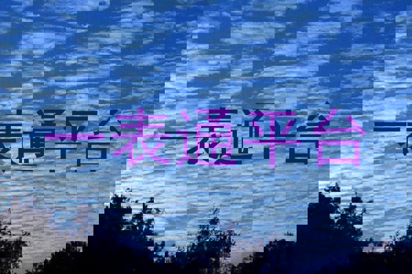 一表通平台