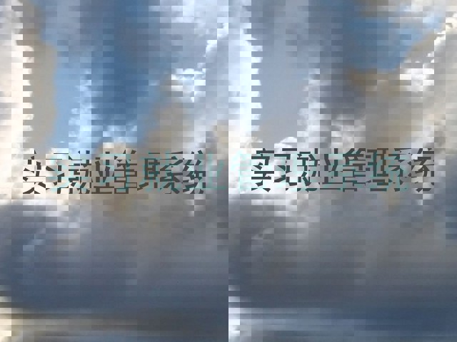 实习就业管理系统