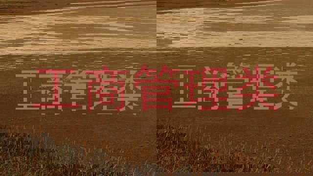 工商管理类