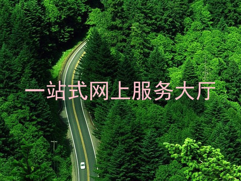 一站式网上服务大厅