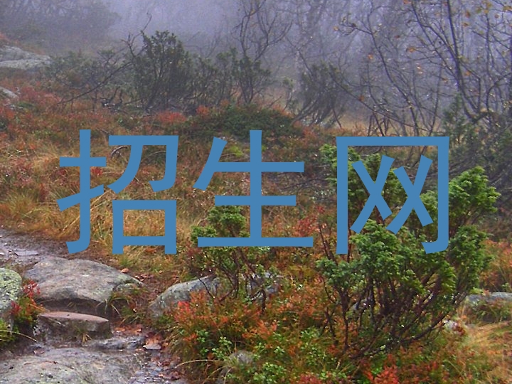 招生網(wǎng)