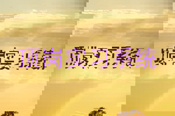 顶岗实习系统
