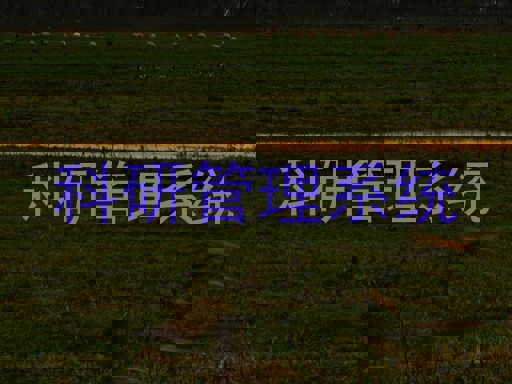科研管理系统