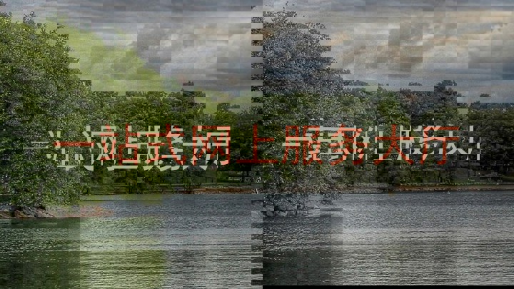 一站式网上服务大厅