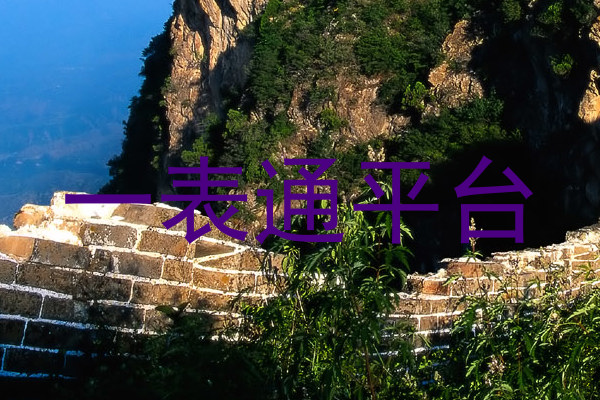 一表通平台