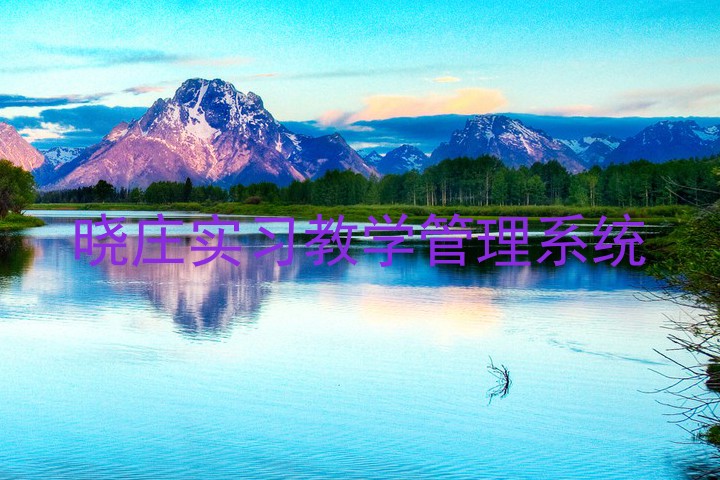 晓庄实习教学管理系统