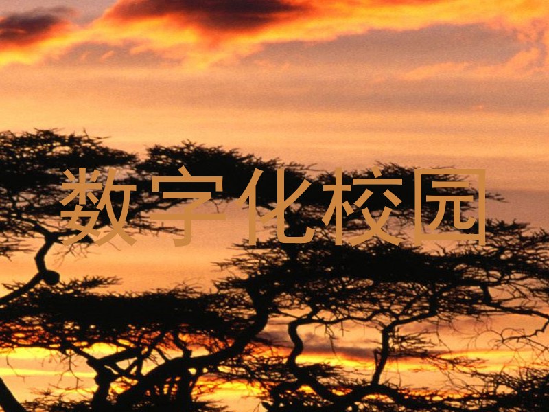 数字化校园