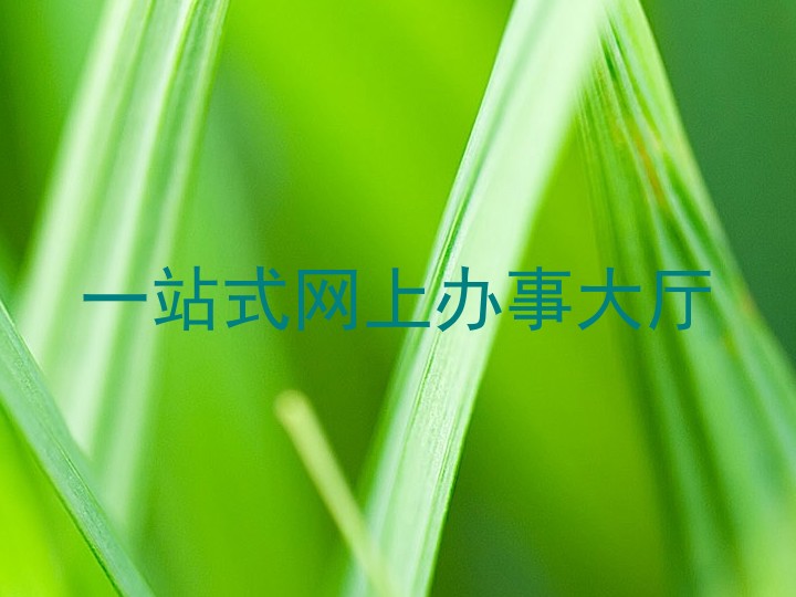 一站式网上办事大厅