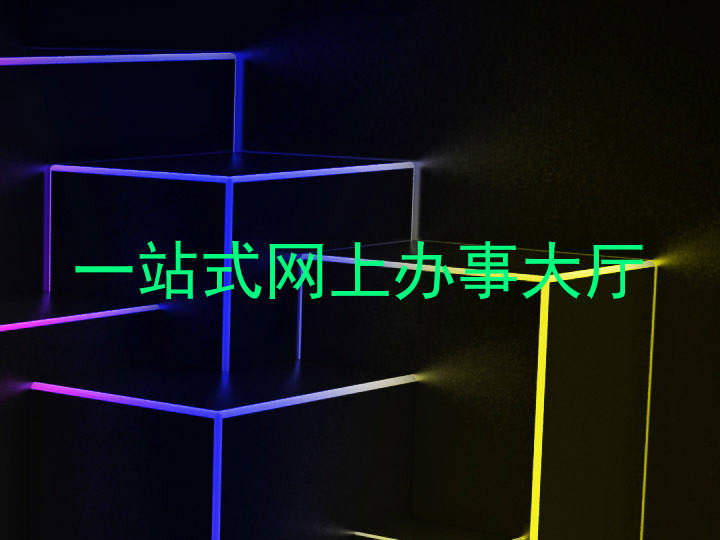 一站式网上办事大厅