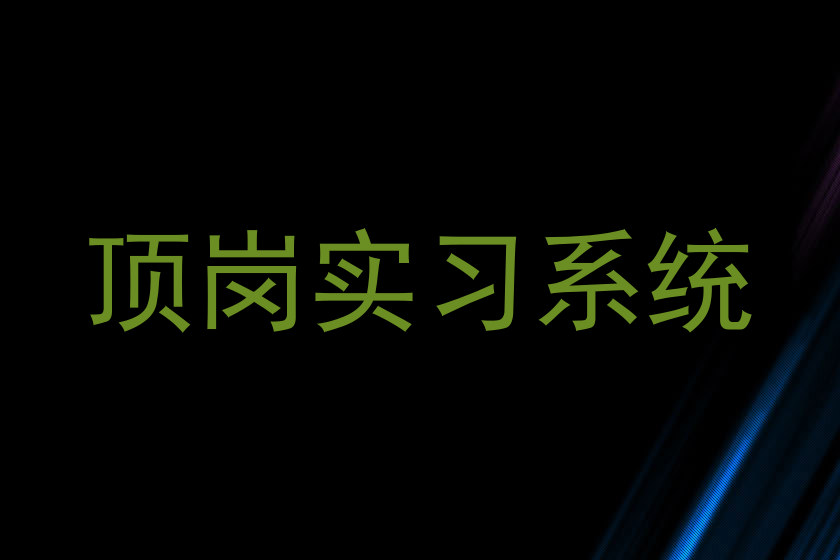 顶岗实习系统