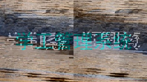 学工管理系统