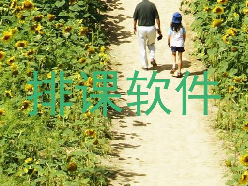 排课软件