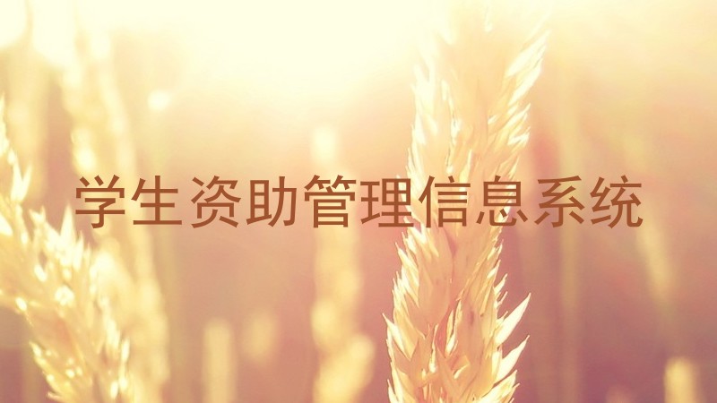学生资助管理信息系统