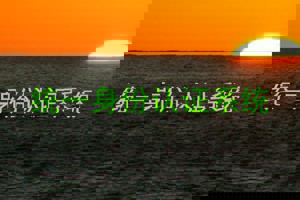 统一身份认证系统