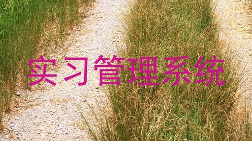 实习管理系统